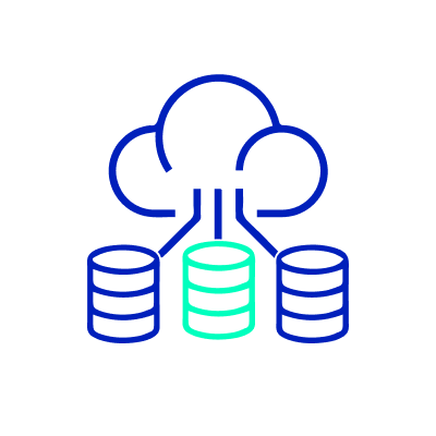 Icon - Data collection